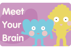 Meet Your Brain